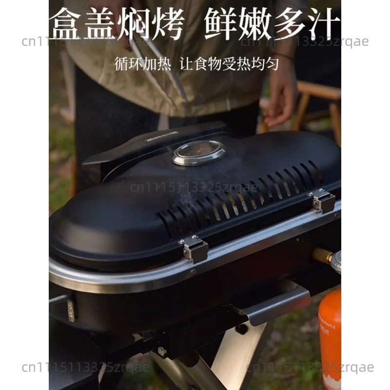 Fornello a Gas Portatile per I - Outdoor Camping Griddle recensione e prezzo