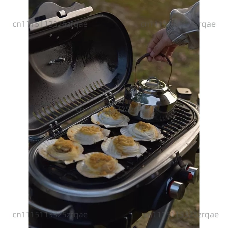 Fornello a Gas Portatile per I - Outdoor Camping Griddle recensione e prezzo